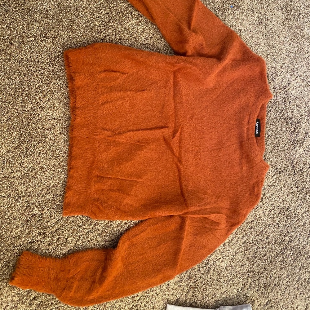 Express cozy sweater
